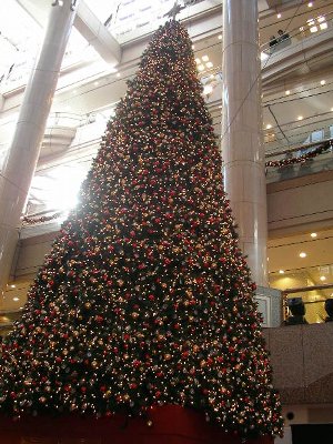 ランドマークプラザのクリスマスツリー