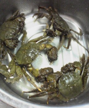 調理前の蟹